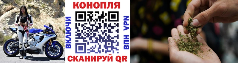 Каннабис планчик  Купить где  Буинск 